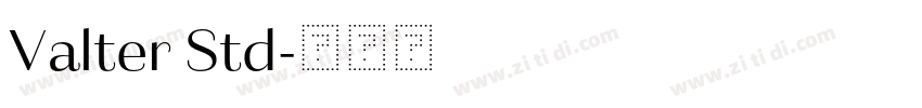 Valter Std字体转换